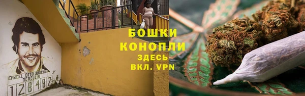 прущие грибы Заводоуковск