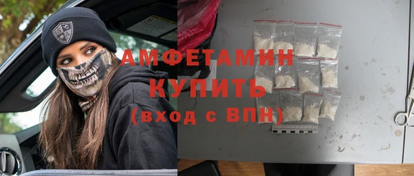 прущие грибы Заводоуковск