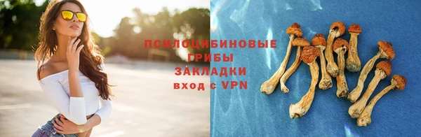 прущие грибы Заводоуковск