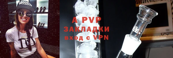 крисы Зеленокумск