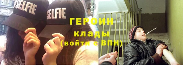 прущие грибы Заводоуковск