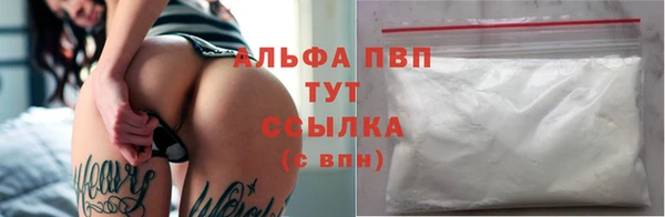 крисы Зеленокумск