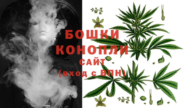 ПСИЛОЦИБИНОВЫЕ ГРИБЫ Заволжск