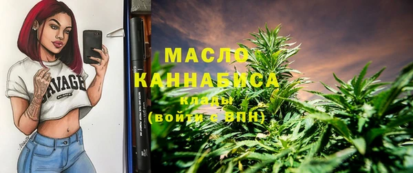 СК Зерноград