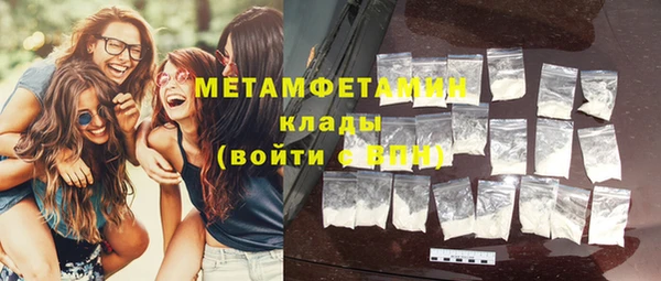 прущие грибы Заводоуковск