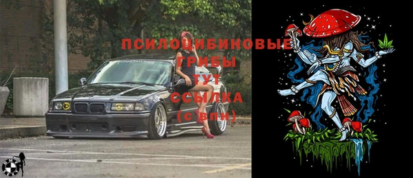 ПСИЛОЦИБИНОВЫЕ ГРИБЫ Заволжск