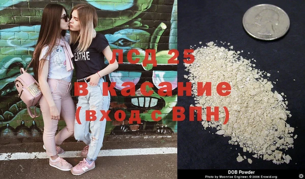 прущие грибы Заводоуковск