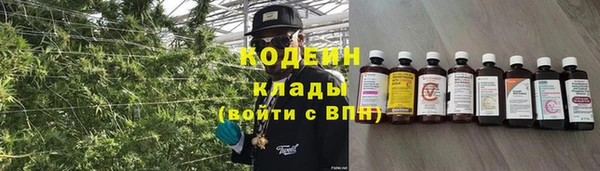 прущие грибы Заводоуковск