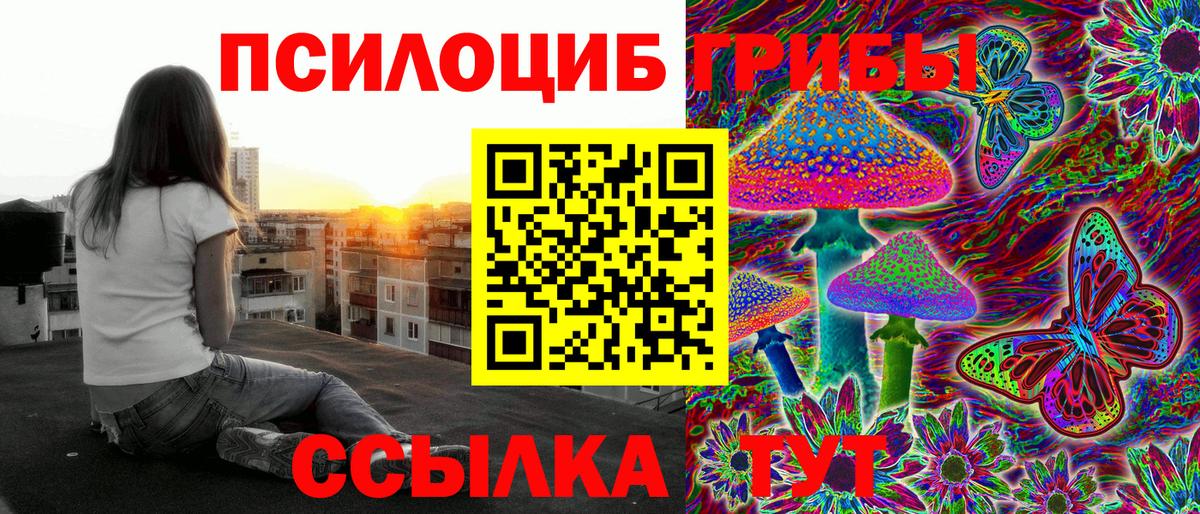 дарнет шоп  Псилоцибиновые грибы Psilocybine cubensis  Вход с VPN  Энгельс 